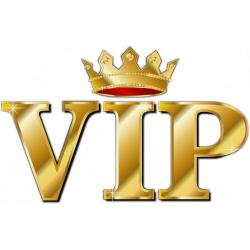 vip Favorable gifts you...